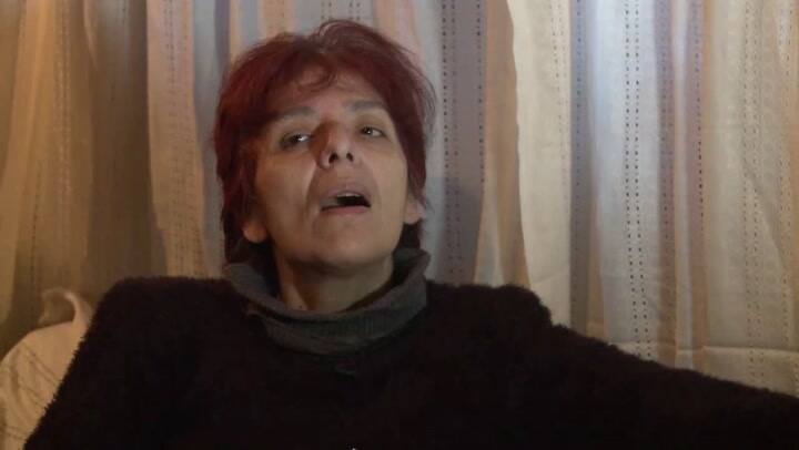 Historia de Mauro