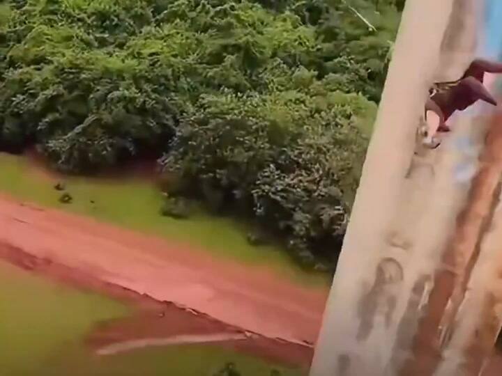 Bungee jumping Brasil