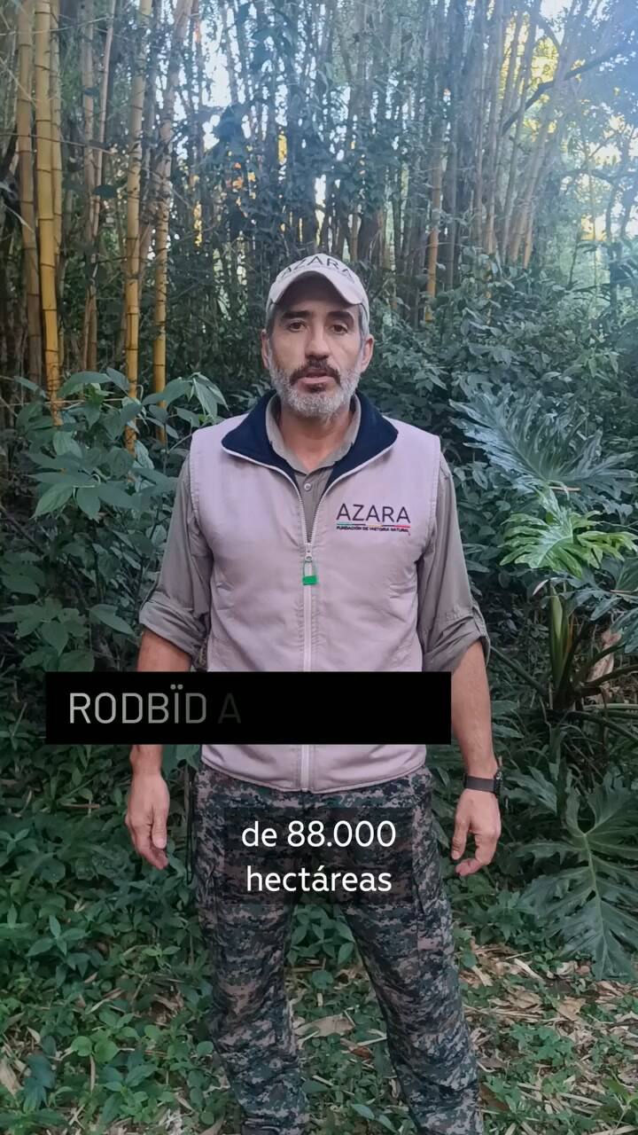 Rescate, recuperación y liberación de un lobito de río