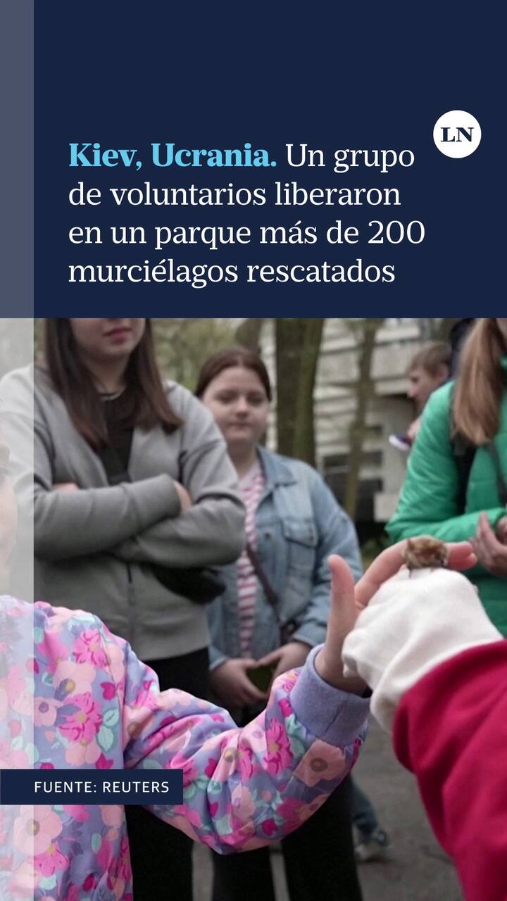 Kiev, Ucrania. Un grupo de voluntarios liberaron en un parque más de 200 murciélagos rescatados