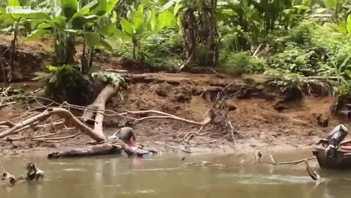 Cómo es atravesar el Tapón del Darién, la zona más inaccesible y peligrosa de América Latina