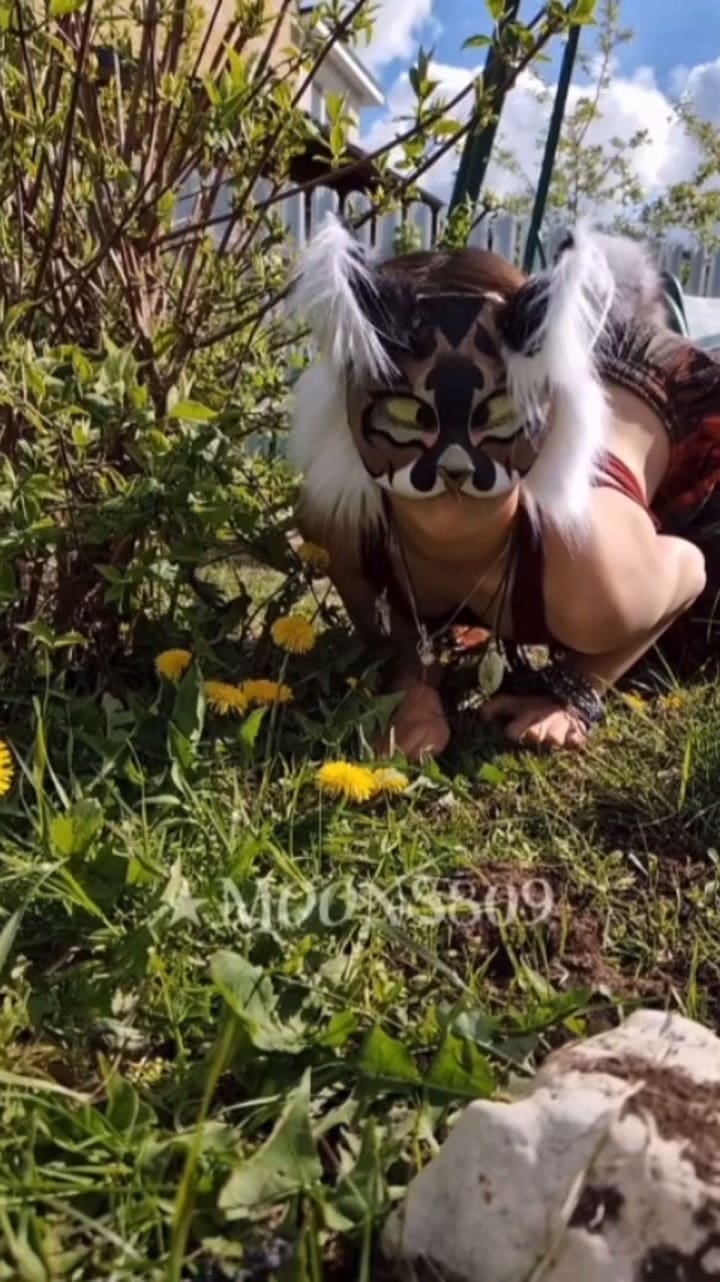 El comportamiento de una therian gato en su día a día