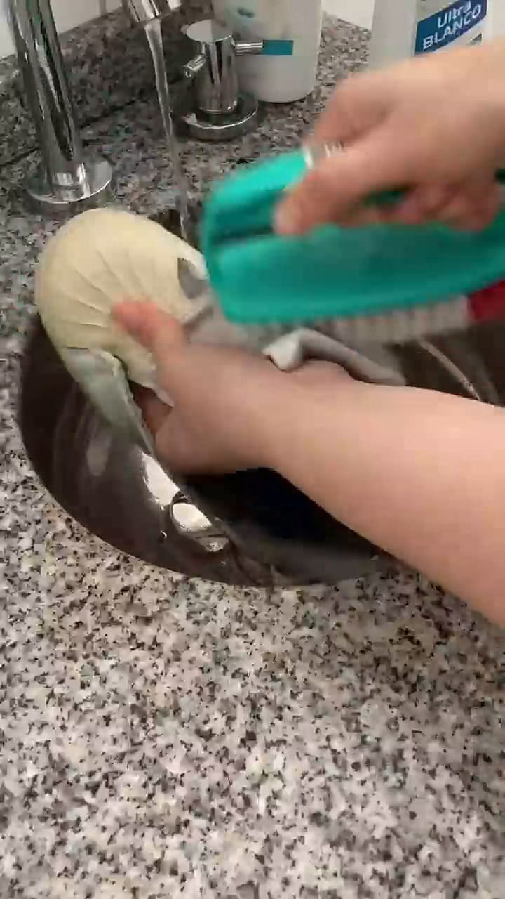 Mostró el truco definitivo para blanquear las zapatillas y se hizo viral