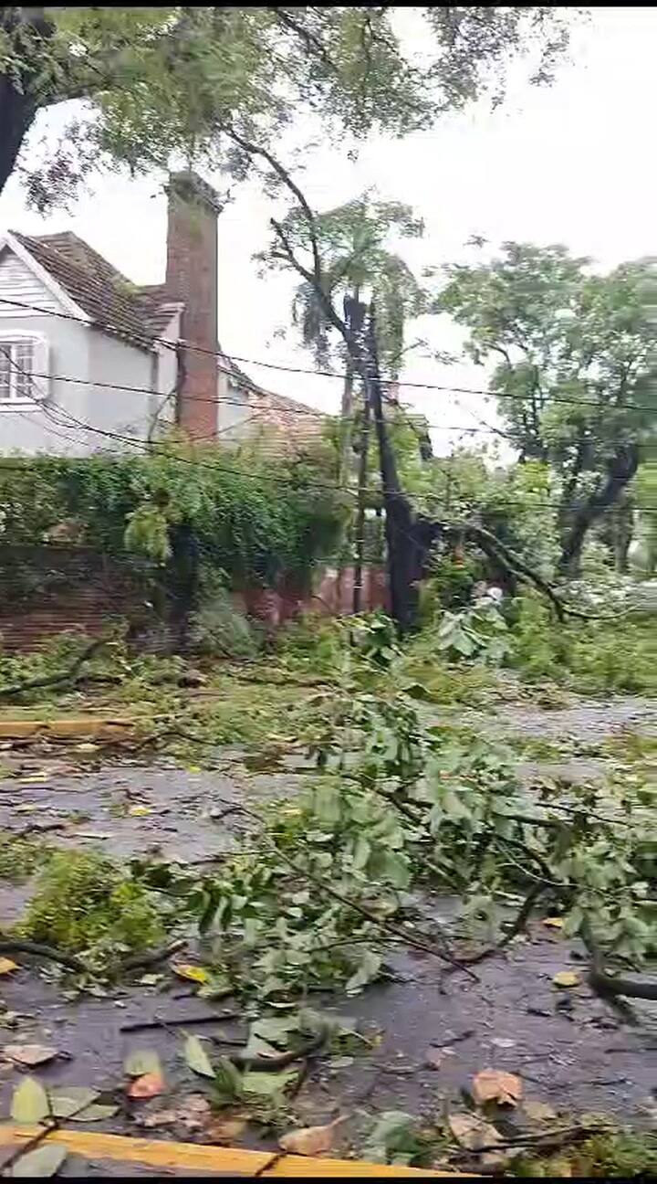 San Isidro V