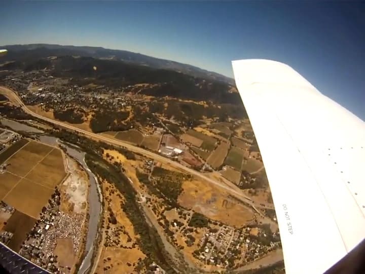 Cayó una cámara de un avión y un simpático animal se vio sorprendido por el objeto