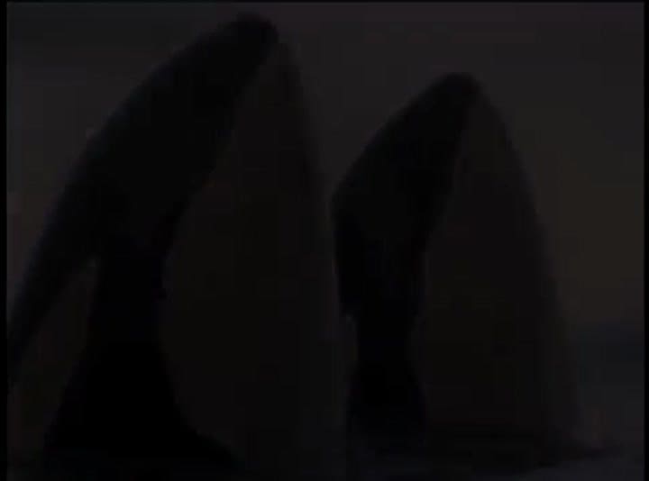 Videoplayback