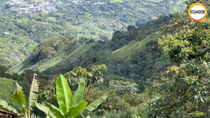 La tranquila vida en el campo de Karina y Ricardo