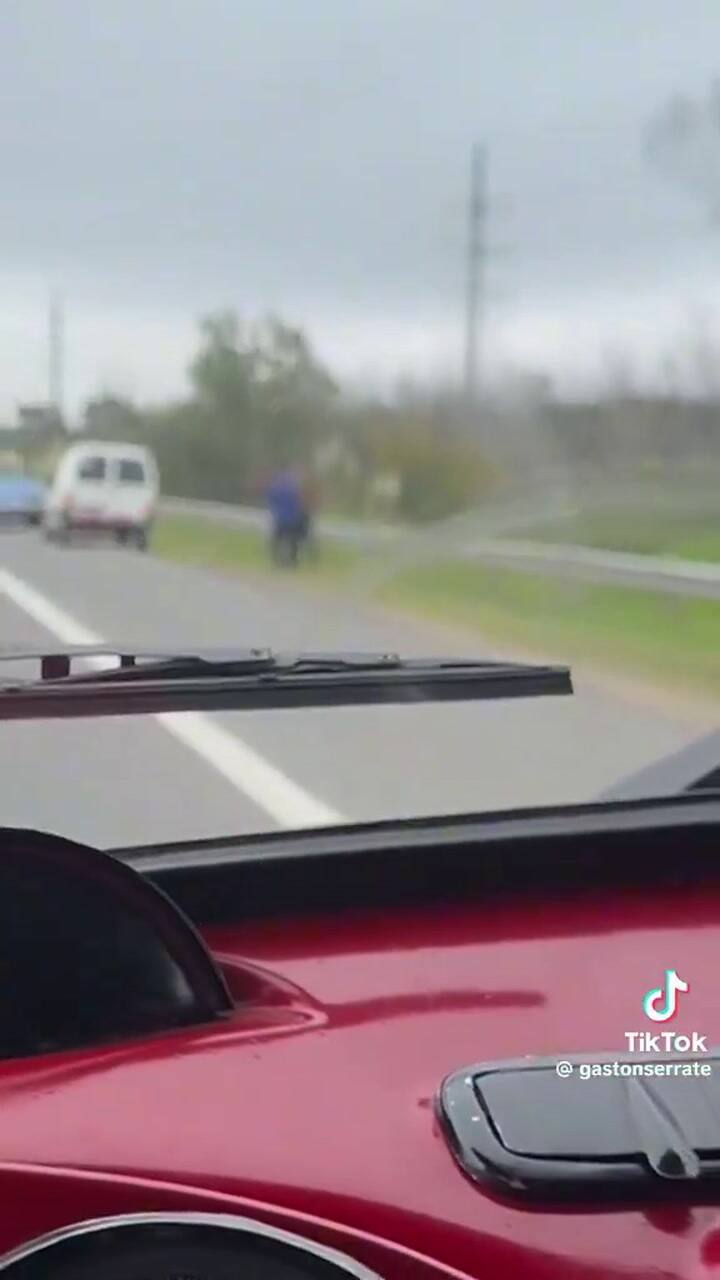 La emotiva historia de un perrito que apareció en la ruta