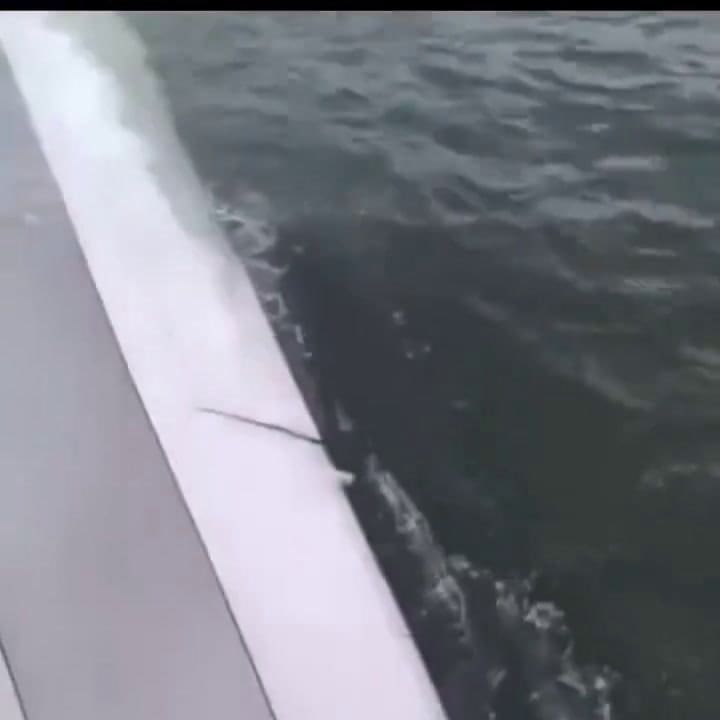 Tragedia en Hong Kong: un avión se salió de la pista al aterrizar, cayó al mar y murieron dos personas
