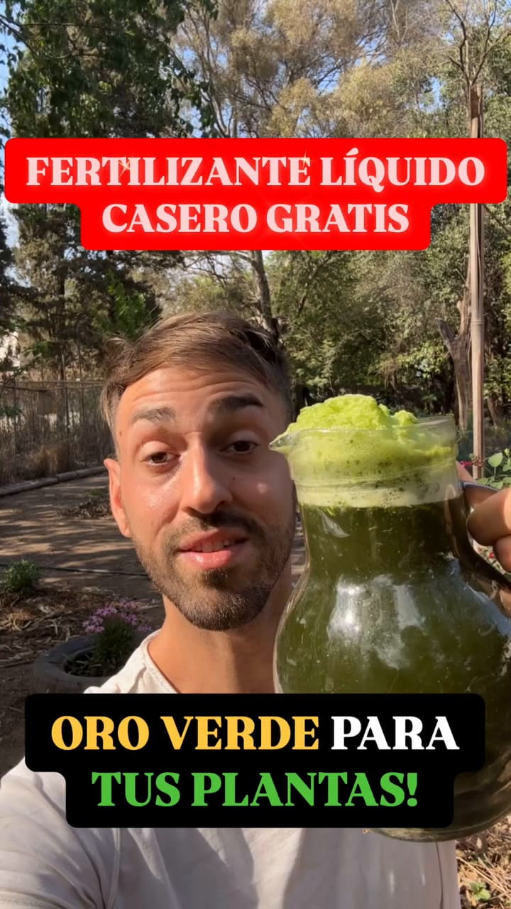 El abono considerado como el oro verde de las plantas