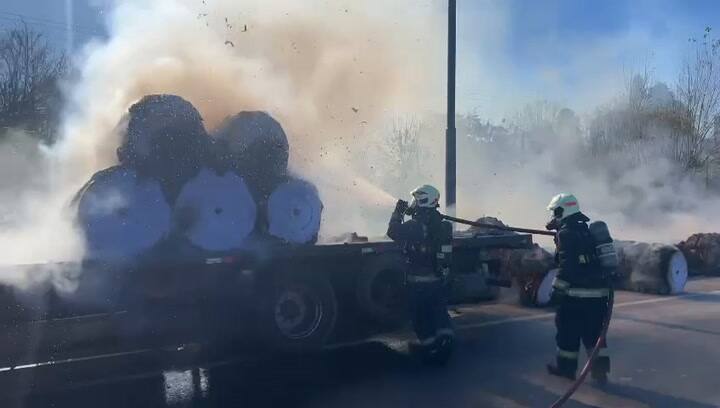 Cantilo 2