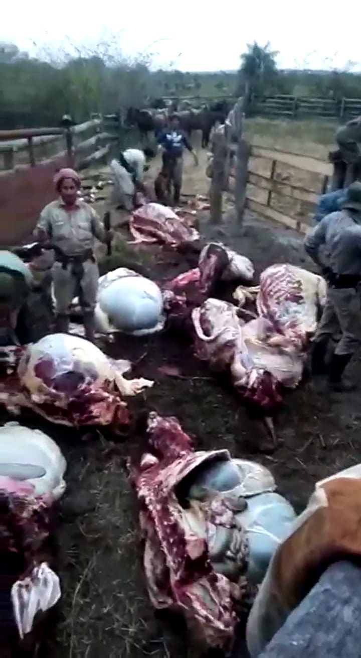 Carne en el campo
