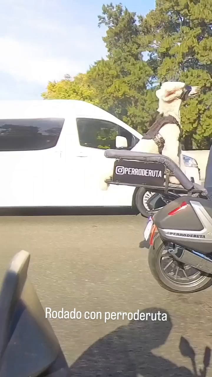 Nuria, con sus pelos al viento, en pleno viaje en moto