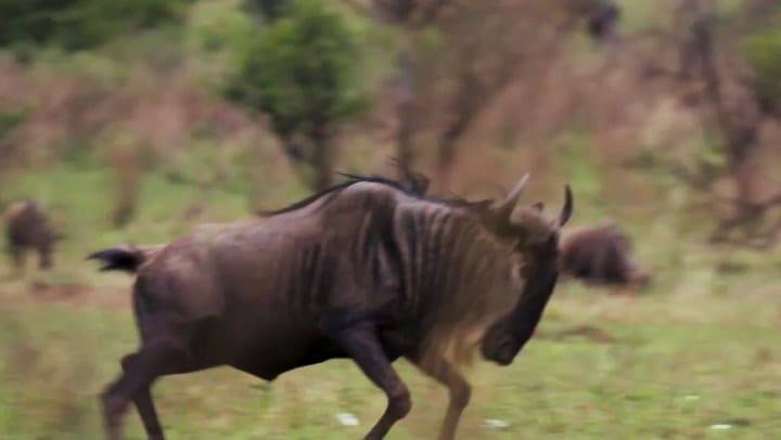 La batalla de Mbombela
