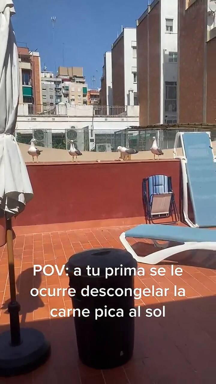 El video que se volvió viral en TikTok