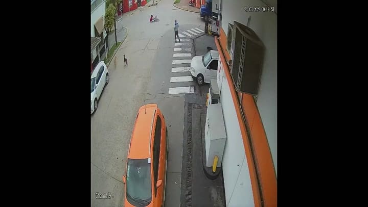 Un avestruz chocó a un ciclista mientras corría a gran velocidad