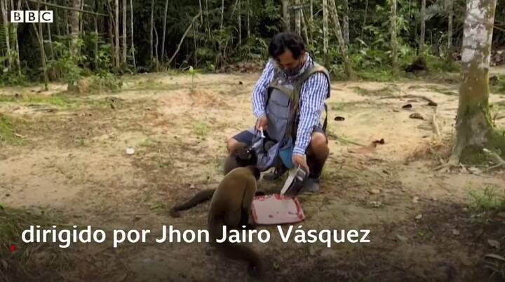 El hombre que rescata monos en Colombia - Fuente: BBC