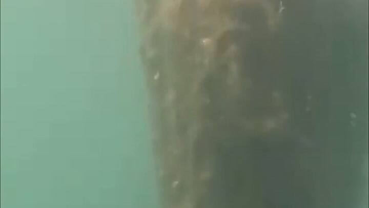 Bajó el agua en un dique mendocino y dejó al descubierto una imagen de la Virgen