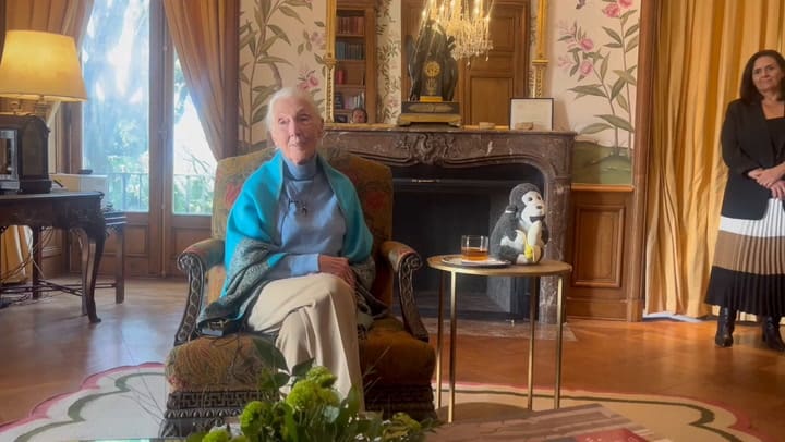 Jane Goodall hablando de la muerte