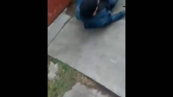 Trabajadores de un frigorífico agredieron a un grupo de veganos - Fuente: Twitter