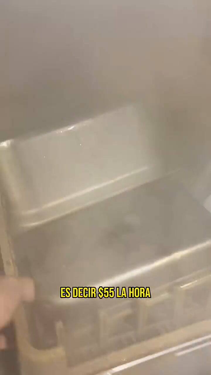 Esto es lo que gana un argentino lavanto platos en Australia