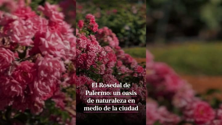 El Rosedal de Palermo, un oasis de naturaleza en medio de la ciudad