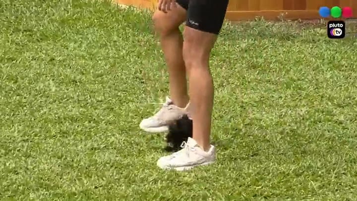 Camila casi lastima a uno de los perritos