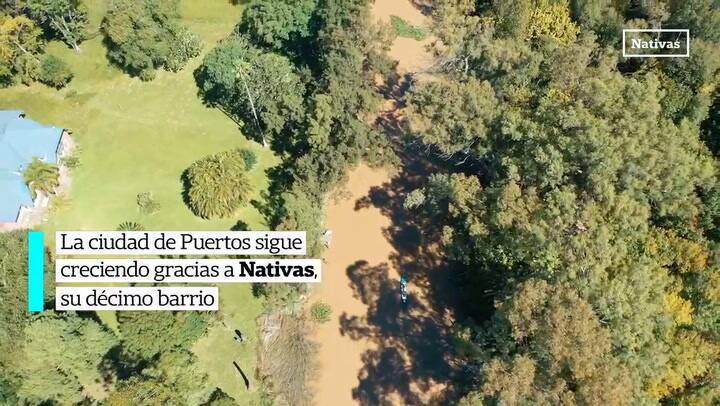 LJ RAMOS- NATIVA