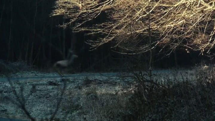 Trailer de Spoor-El rastro, basada en la novela de Olga Tokarczuk - Fuente: YouTube