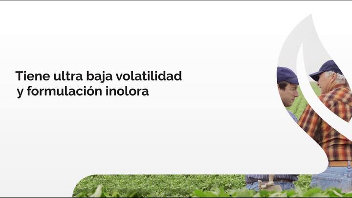 Malezas Centro