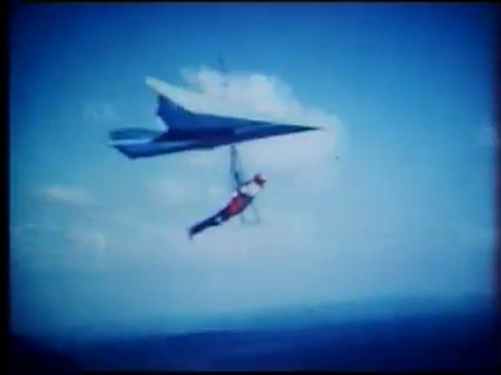 Depailler ala delta