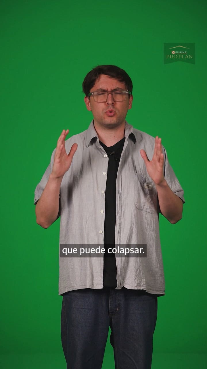 CAP 19 - GOLPES DE CALOR