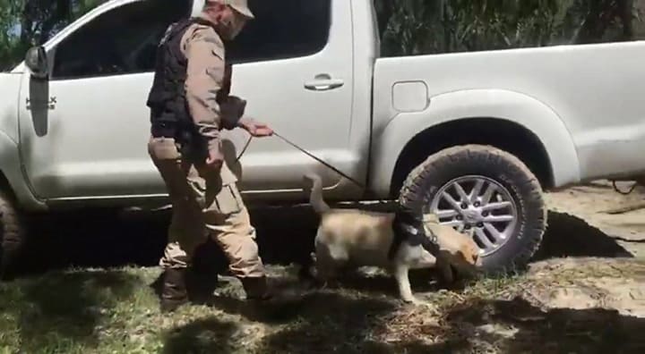 Secuestraron 37 kilos de cocaína en el Río de la Plata