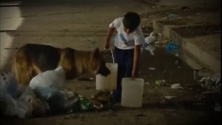 Trailer: 2001, el año del corralito