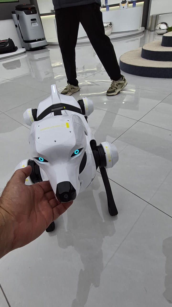 El perro robot Argos de Aimoga