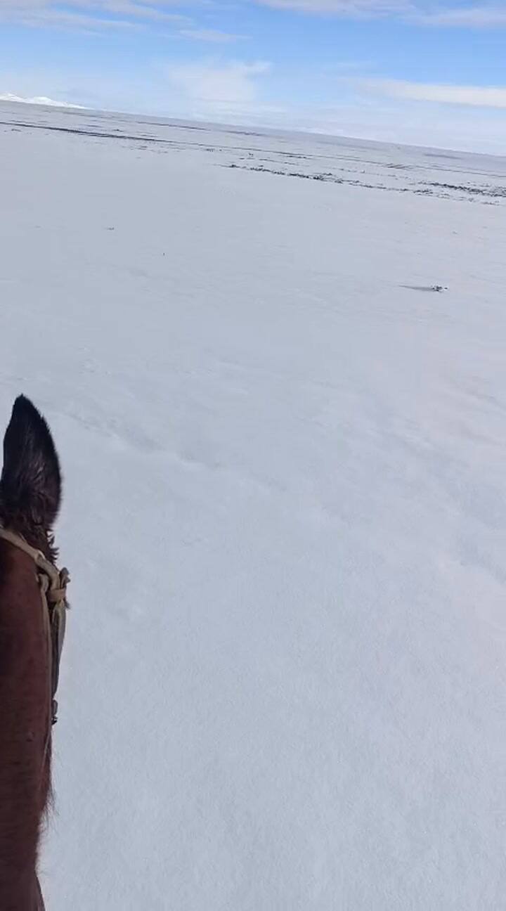 Así están varios puntos de Santa Cruz por el tema de la nieve