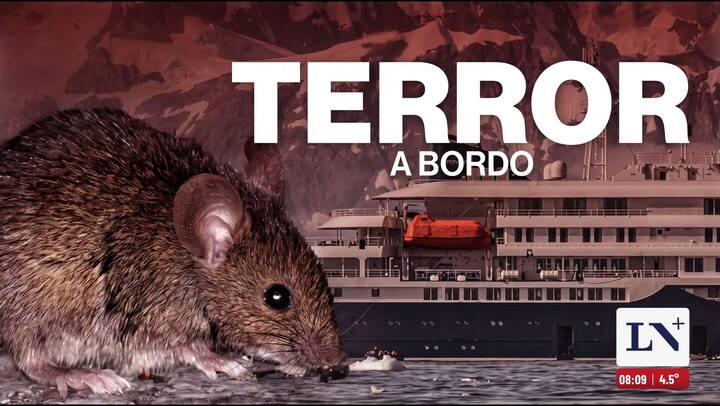 Evacuaron casi 100 pasajeros del crucero en Tenerife