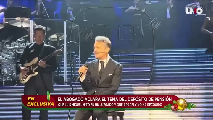 Aracely Aránbula no tomó el dinero d ela manutención de Luis Miguel y se armó el escándalo