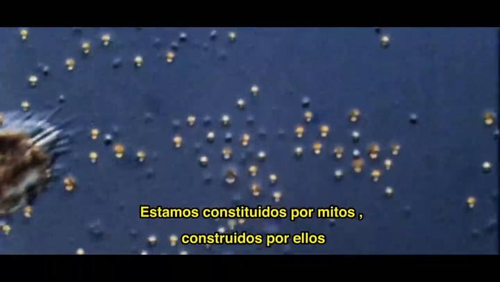 Lo nuevo de Diego Frenkel
