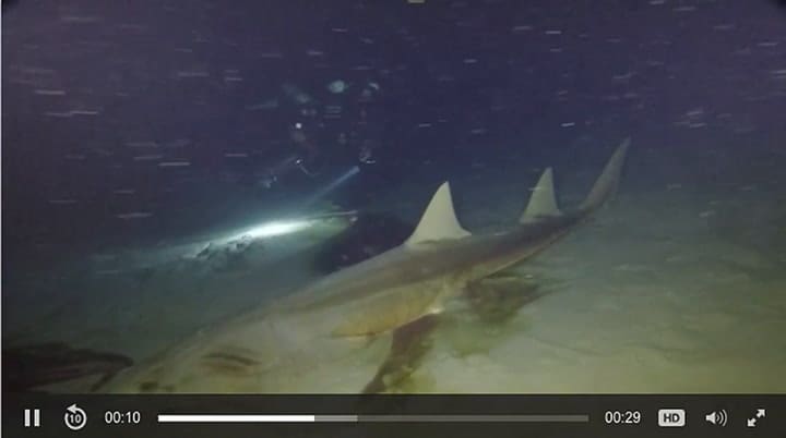 La exploración del agujero Amberjack, en el océano de Florida