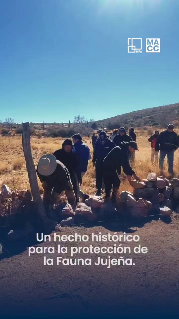 El video del gobierno de Jujuy sobre el operativo