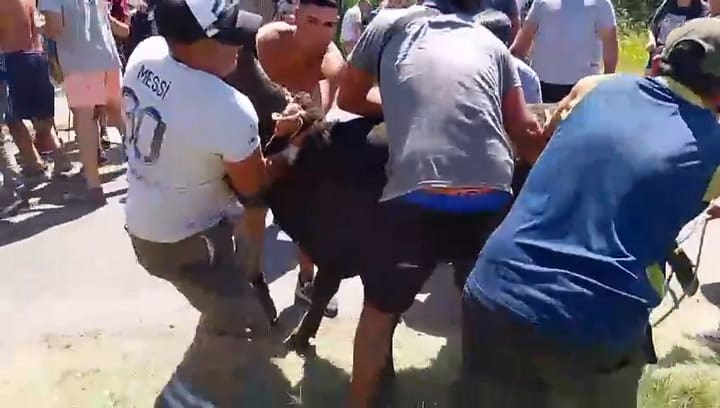 Volcó un camión en Mercedes y los vecinos le faenaron los animales