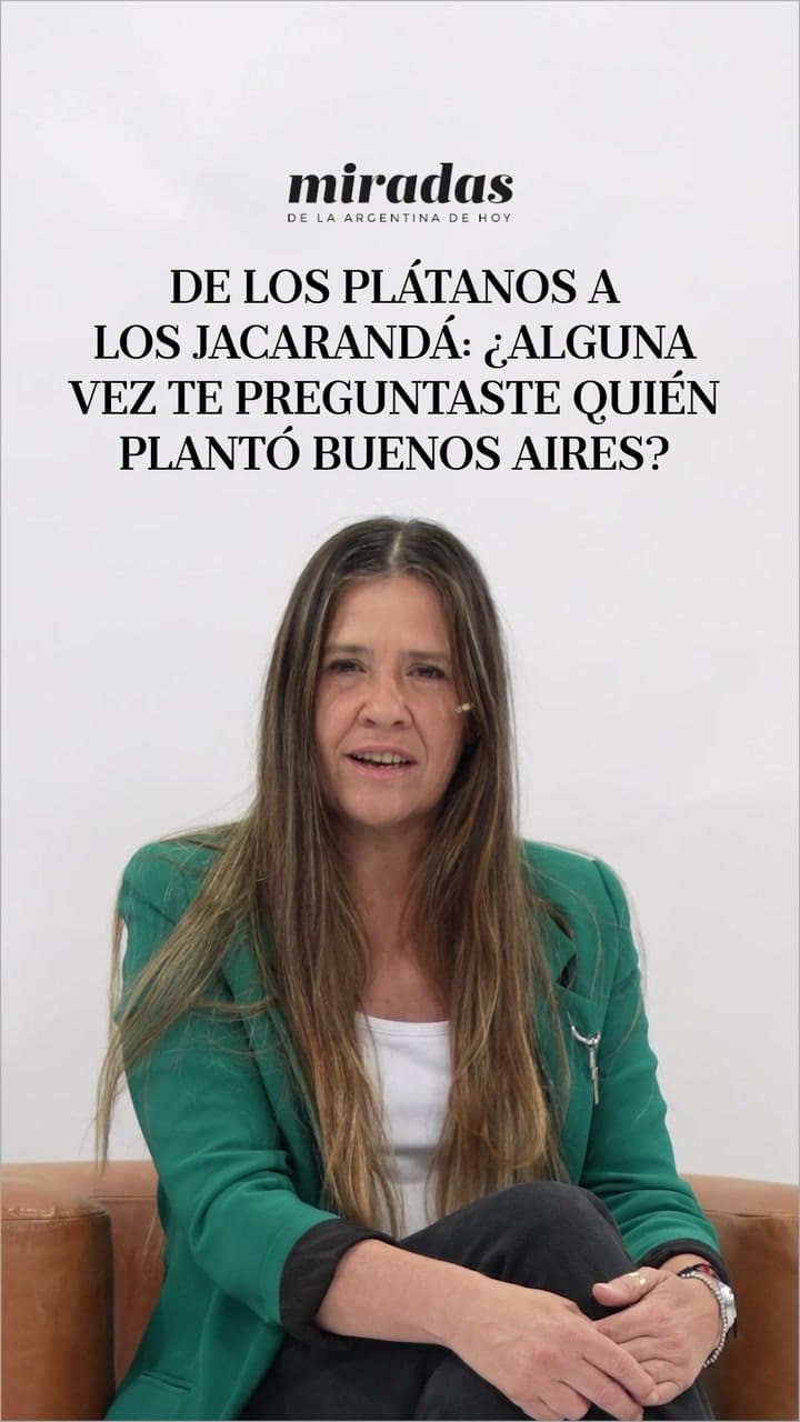 De los plátanos a los jacarandá: ¿Alguna vez te preguntaste quién plantó Buenos Aires?