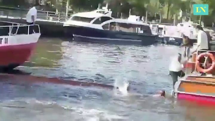 Accidente de lanchas en Tigre: una mujer terminó gravemente herida - Fuente: Instagram