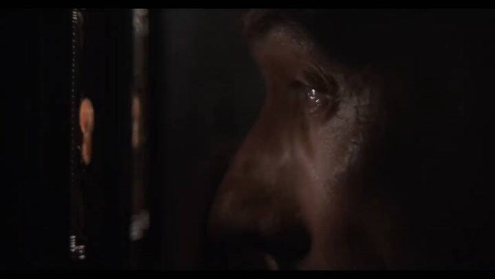 Trailer del film 'El Cuadro' - Fuente: YouTube