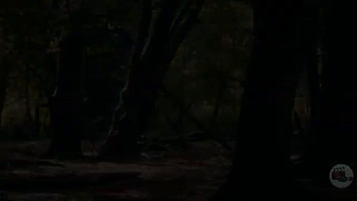 El testigo, tráiler