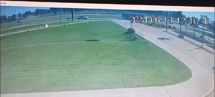 Búsqueda de Loan