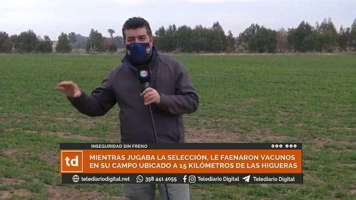 Le faenaron tres vacas mientras jugaba la Selección