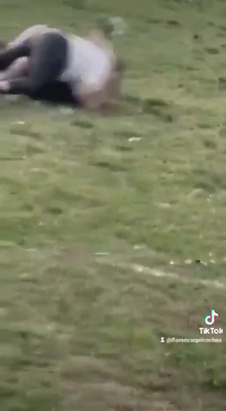 Rosa hizo el famoso ritual de tirar el ramo de flores (Video: TikTok @florenciageicochea)