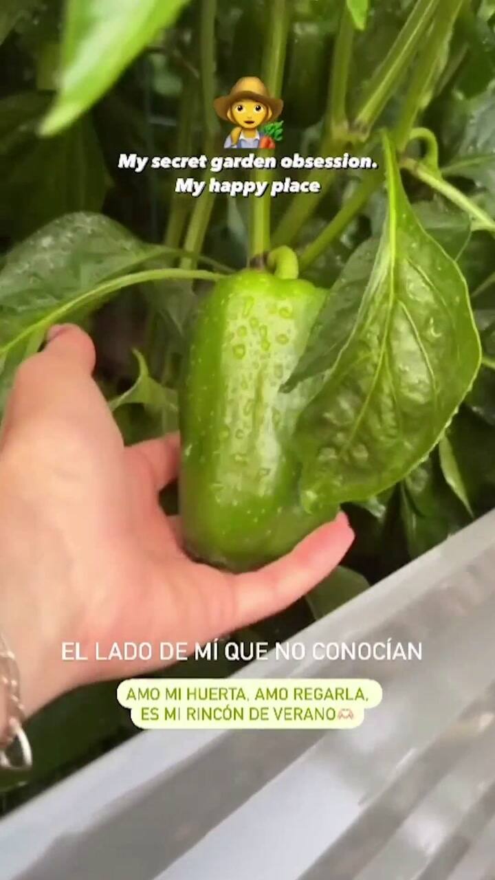 Luisana Lopilato Compartió Cómo Es Su Huerta A La Que Llama “Mi Lugar Feliz” “El Lado De Mí Que No Conocían” - Infobae